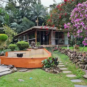 https://recanto-r-12.santa-catarina-brasil.com